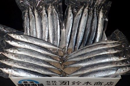 【北海道根室産】根室海鮮市場[直送]一汐さんま6尾入×4P(計24尾) A-28196