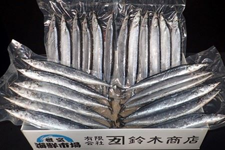 【北海道根室産】根室海鮮市場[直送]一汐さんま6尾入×2P、生さんま6尾入×2P A-28197