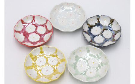 有田焼 利久窯 花真珠豆皿 5色セット  陶窯みかわや cj004