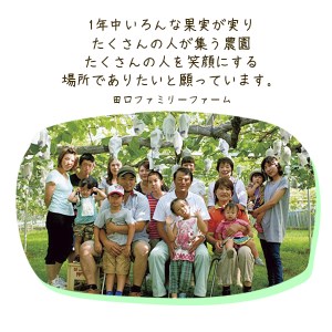 【田口ﾌｧﾐﾘｰﾌｧｰﾑ】旬の桃 2L～4L(14～24玉)(2026年6月中旬発送開始) N053-YZB710