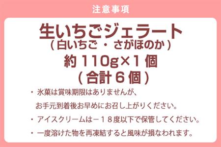 白いいちごジェラート・さがほのかジェラート(1個110g×各3個)合計6個 アイス スイーツ デザート ギフト