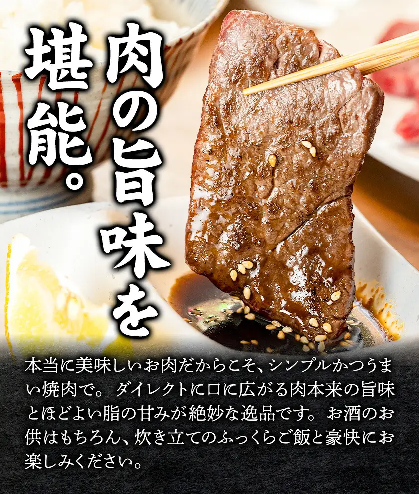 牛肉 大川原高原牛 赤身霜降り焼肉 500g | 牛肉
