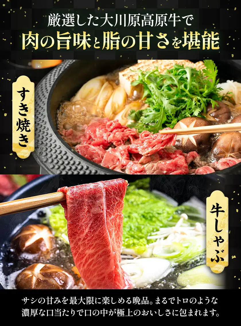 大川原高原牛 特選ローススライス 500g 肉の藤原《30日以内に出荷予定(土日祝除く)》