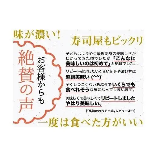 【 カンパチ 】 カンパチ須崎勘八 1尾