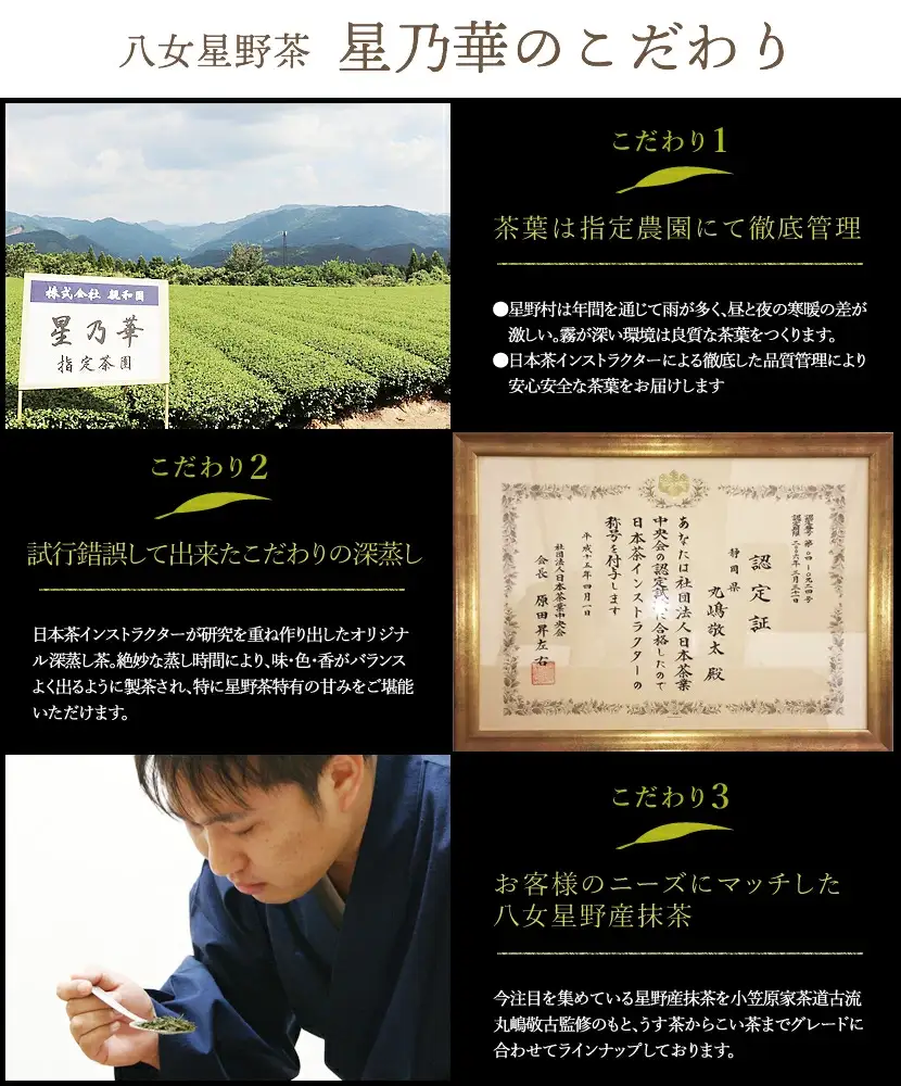 深蒸し茶 八女星野産 訳あり 1100g 八女茶 お茶 茶葉 緑茶 日本茶 茶袋