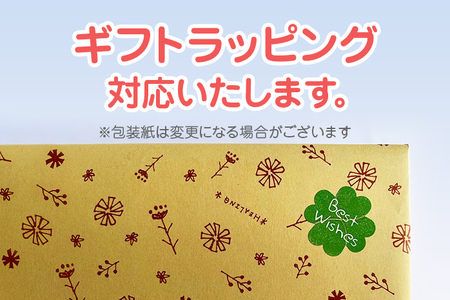 【ギフト用】木のおもちゃ、コロポコ積木パズル(スペシャル)