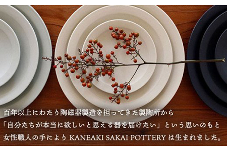 【美濃焼】＜色が選べる＞flat 7plate 7プレート2枚セット【KANEAKI SAKAI POTTERY】【TOKI MINOYAKI返礼品】 食器 皿 シンプル 器 うつわ プレート お皿 丸皿 中皿 パスタ皿 ワンプレート 焼き物 大人 シック マット アイボリー ブルー ペールブルー 水色 青 ネイビー 紺 金秋酒井 送料無料  [MBC023]