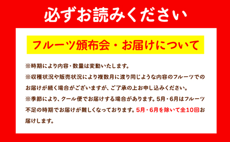 フルーツ頒布会「旬宴」-竹 全10回お届け 4人～5人用 有限会社柑香園 定期便