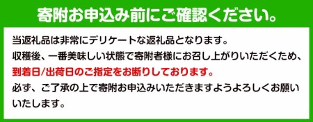 観音山グレープフルーツ 3kg