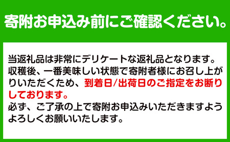 観音山 はっさく 3kg (約9玉-12玉前後)