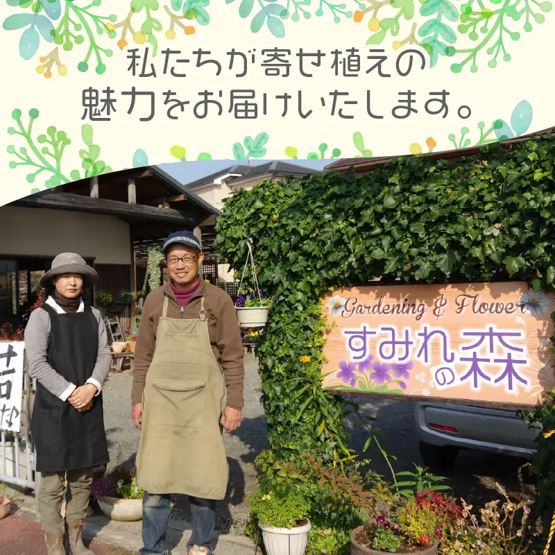 花の寄せ植え　35cm鉢【005C-006】