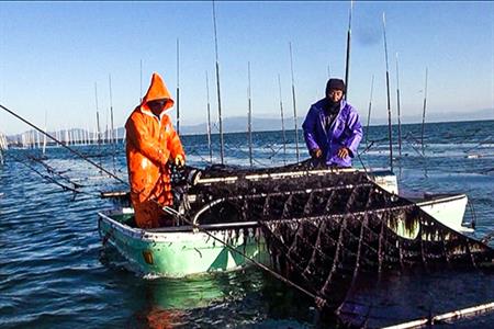 佐賀海苔 一番摘み 全型10枚×2袋(合計20枚) 焼海苔 のり ノリ ご飯のお供 ギフト