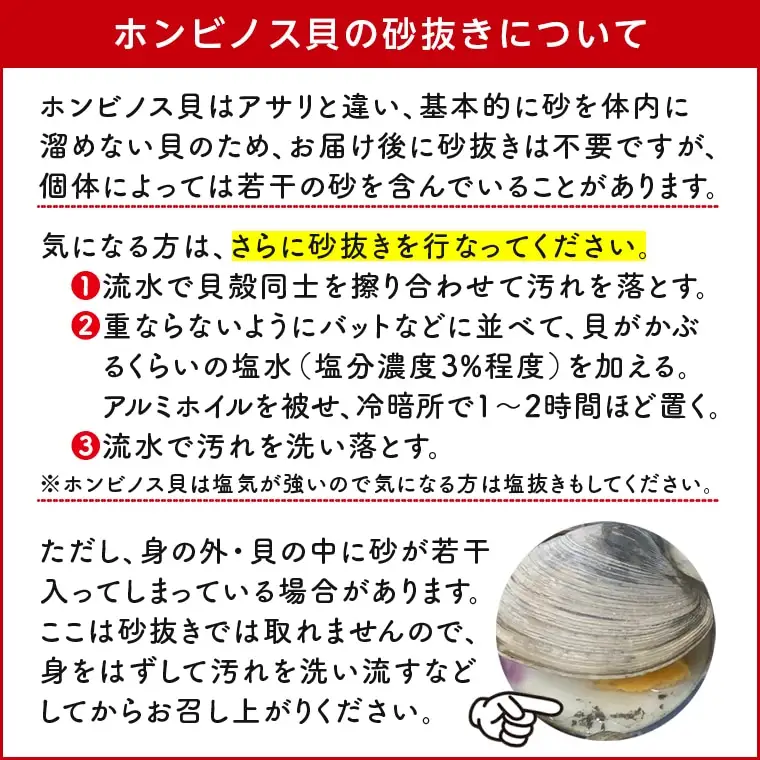 漁師直送！活ホンビノス貝5.5kg（サイズミックス）