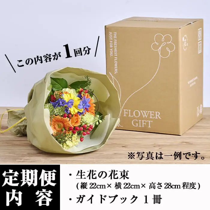 ＜定期便・6回(連続)＞季節のお楽しみブーケ(生花：Sサイズ)生花 植物 【FM-5】【フラワーショップまつだ】