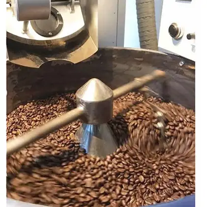珈琲豆 Cafe du MBF 石焼き珈琲豆 珈琲豆 【50g×10種セット】