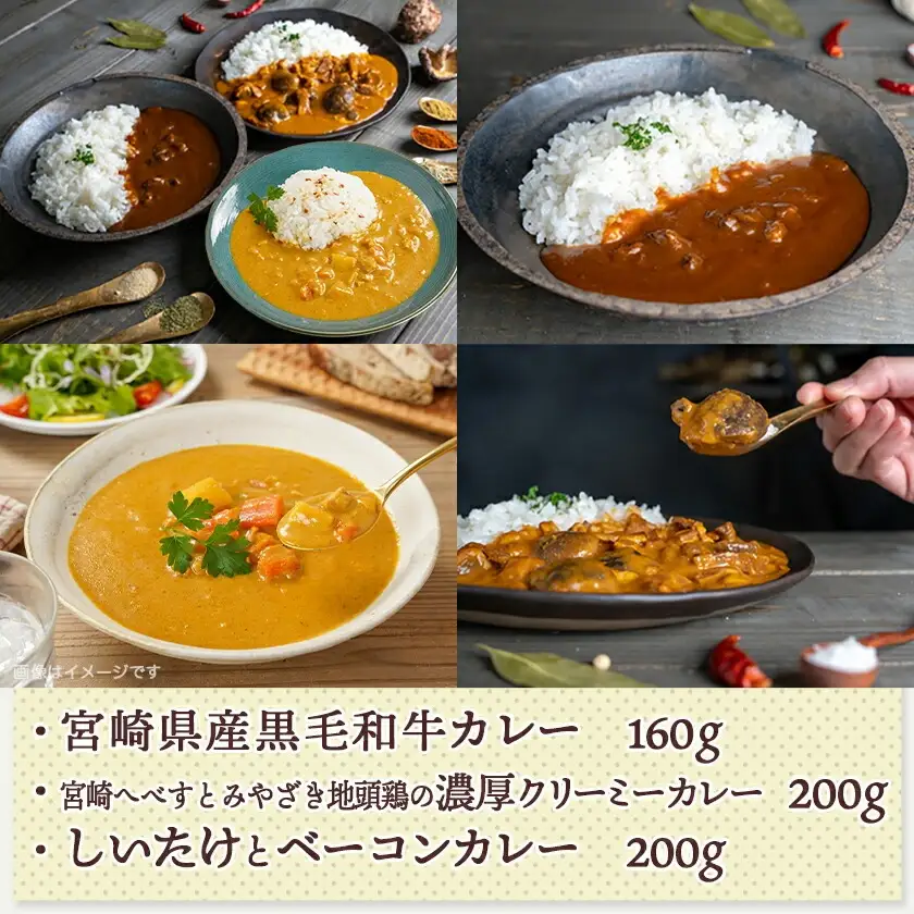 みやざきカレー3種セット※ポスト投函〔LB-15-002〕_(都城市) レトルトカレー 湯煎調理 アウトドア 食べ比べ 1人暮らし ポスト投函