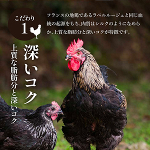 鶏肉 丹波黒どり キーマカレー 6食 最短4日以内発送 鶏肉