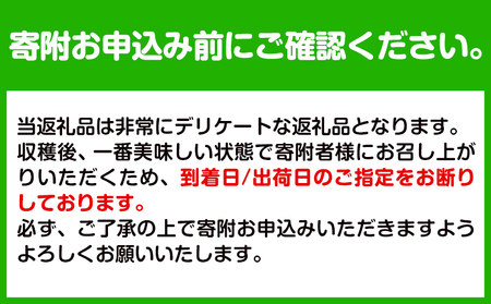 【先行予約】八朔 はっさく ネット入 約15kg JAわかやま 紀の里地域本部 