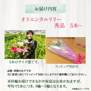 日頃の感謝を「花束」で、オリエンタルリリー【秀品5本】 誕生日 植物 フラワー ギフト プレゼント／Osy-A02