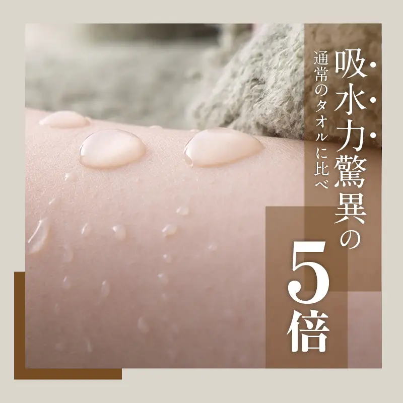 世界最高峰のタオル nei バスタオル 2枚（ブラウン）