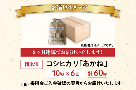 【令和5年産】【6ヶ月定期便】福井県大野市産 JGAP認証 コシヒカリ「あかね」10kg [F-007001]