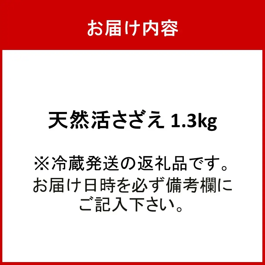 【冷蔵発送】漁師直送!天然活さざえ1.3kg_1067R