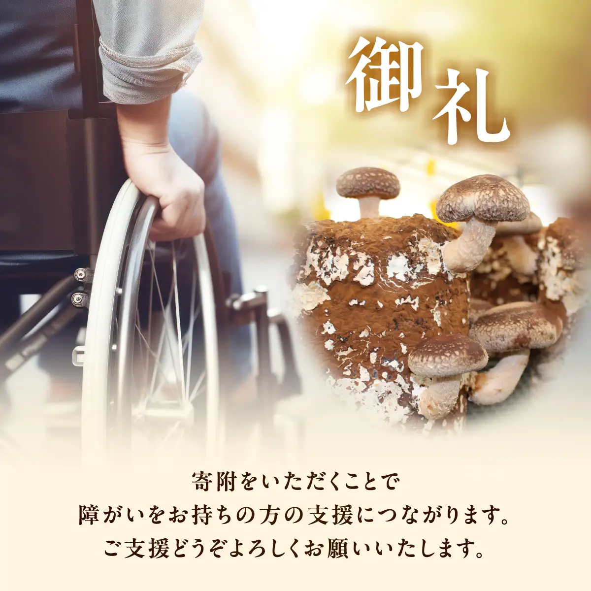 乾燥椎茸（どんこ）110g×2箱 MROBD001
