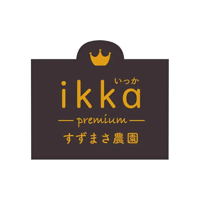 特別なかぼちゃ ikkaプレミアム【12月-2月発送】｜新潟　新潟県　カボチャ　かぼちゃ　南瓜