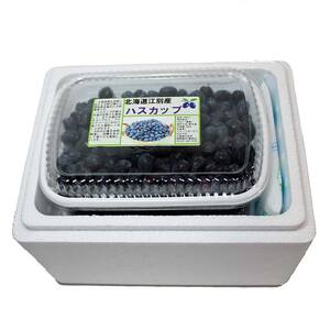 【北海道の果実】江別産ハスカップ（冷凍）500g×2パック EB8-0217