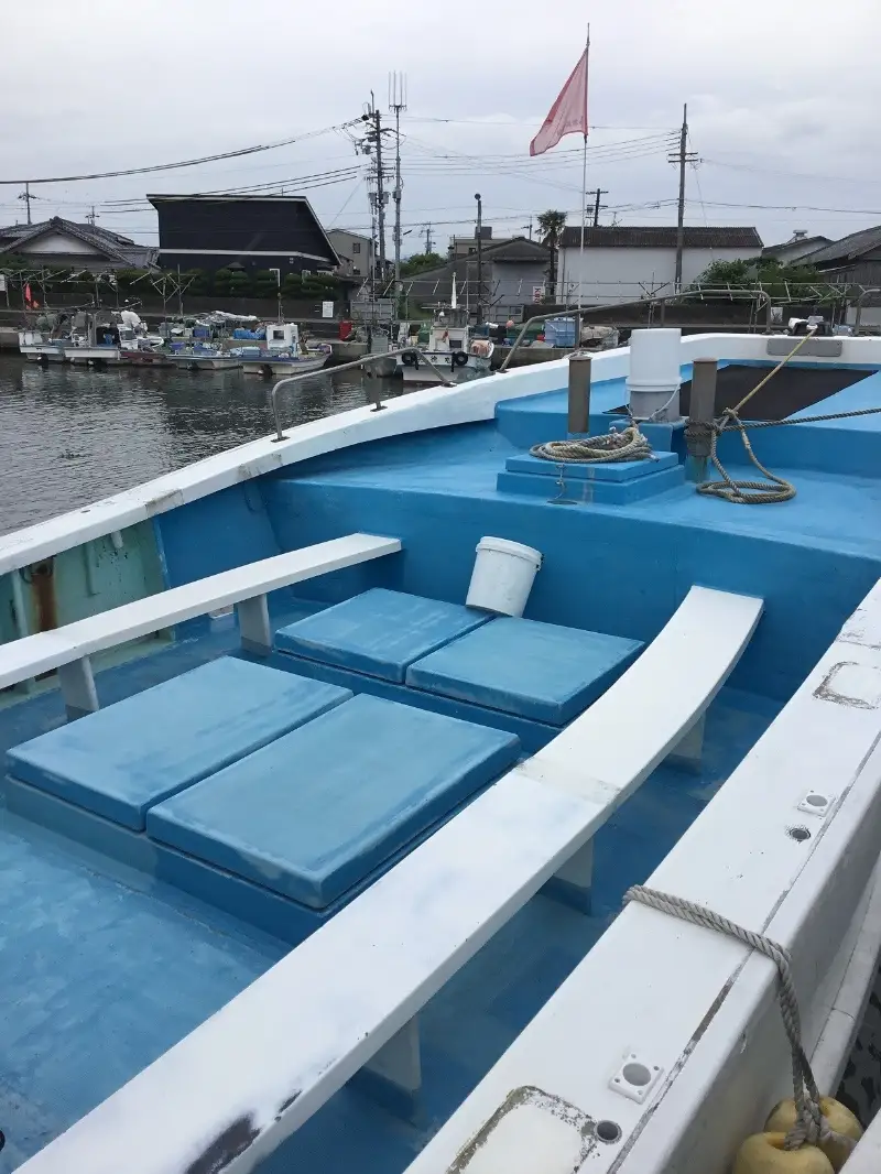 【泉南・岡田浦漁港】釣り船 湊丸 昼便 アジ・メバル便 1名様【049D-001】
