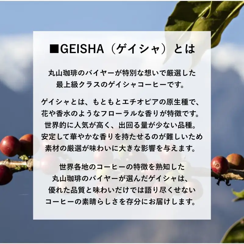 コーヒー 丸山珈琲 4種セット ドリップバッグ コーヒー