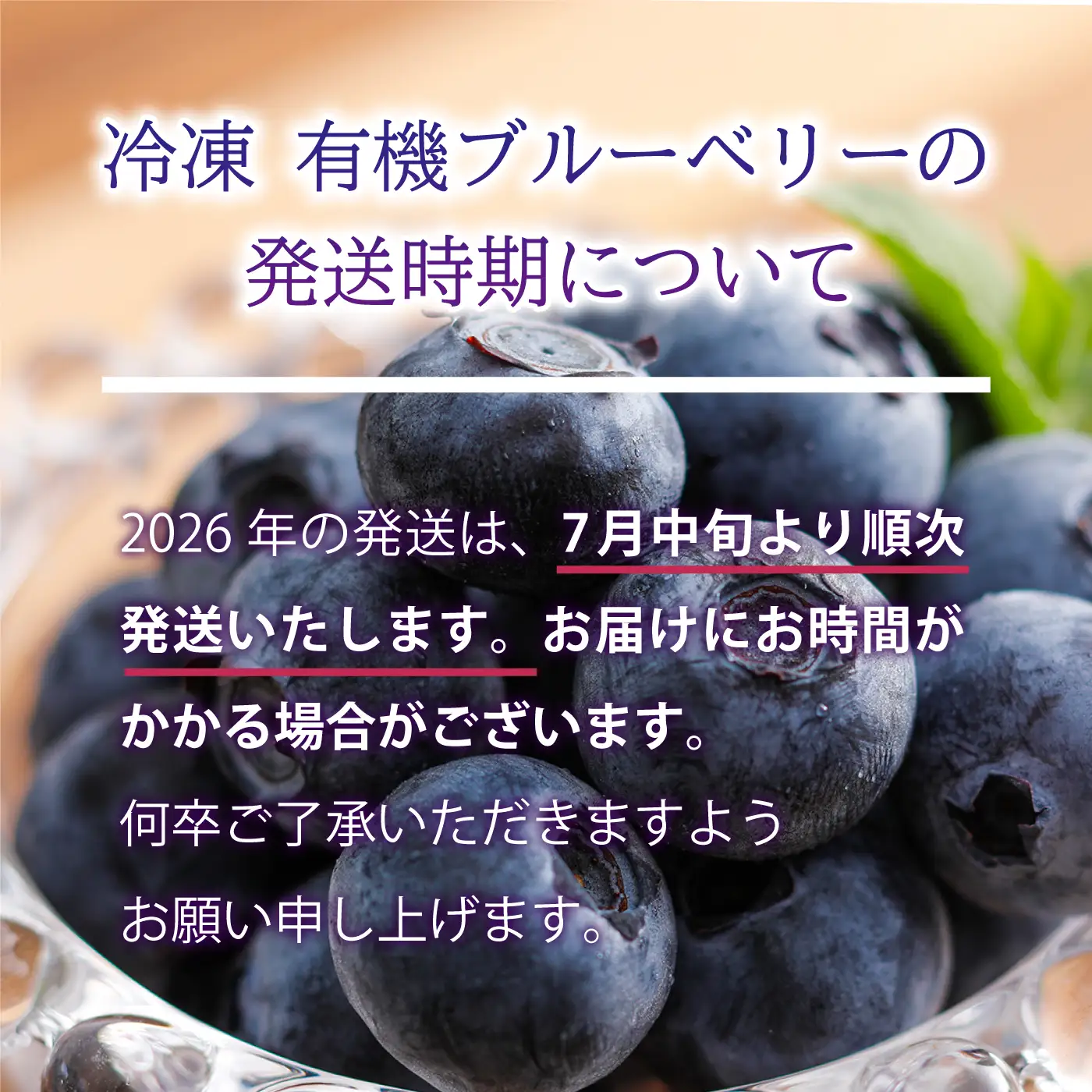 冷凍 有機ブルーベリー 1.2kg（400g×3袋）