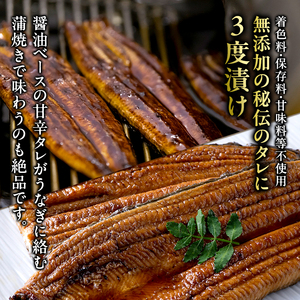 うなぎ 蒲焼 白焼 計8尾 小分け 食べ比べ うなぎ