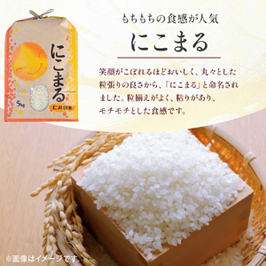 【令和6年産米】樽井商店の仁井田米 ３種のお米味くらべセット 15kg（5kg×3）Bti-A04／お米 おこめ コメ ブランド米 香る米 ヒノヒカリ にこまる ご飯 高知 ギフト プレゼント 贈り物 食べ比べ