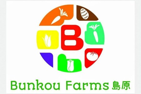BG033 【令和9年度出荷分】 5月から出荷！「朝どれバイカラーコーン！」L×5本セット