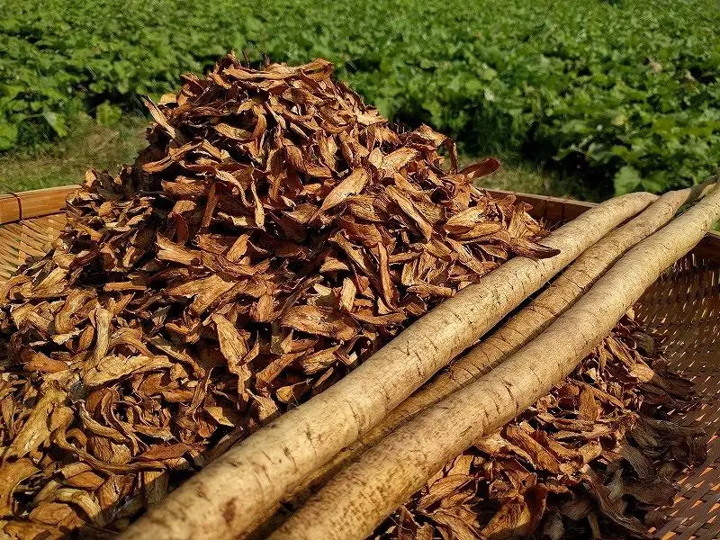 【博多旧市街セレクション登録商品】ごぼう茶 300g | 福岡県 福岡市 福岡 九州 博多 返礼品 お茶 ごぼう茶 国産 ゴボウ茶 ごぼうちゃ 自宅用 家庭用 お取り寄せ 取り寄せ ご当地 お土産 おみやげ おちゃ お礼の品 ごぼう ゴボウ 牛蒡 飲み物 飲料