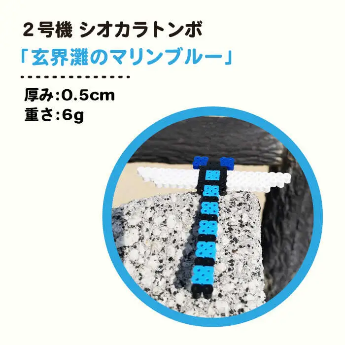 二号機 ： 玄界灘 の マリンブルー シオカラトンボ 《糸島》【糸島とんぼ】 [APK003]