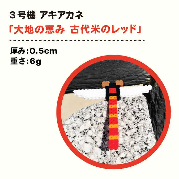 三号機 ： 大地 の 恵み 古代米 の レッド アキアカネ《糸島》【糸島とんぼ】 [APK004]