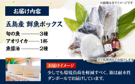 【冷蔵】【下処理済】鮮魚ボックス（魚3種/アオリイカ/魚醤油2種） 五島市/金沢鮮魚[PEP003]   冷蔵 真空パック 新鮮 下処理済み 海鮮 刺身 セット 水いか イカ 魚 鮮魚 おさしみ 刺し身 刺身 さしみ いか 醤油 金澤仕立て  鮮魚 冷蔵 真空パック 新鮮 下処理済み 海鮮 刺身 セット 水いか