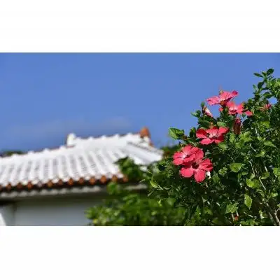 チケット 平日限定 ゴルフプレー券 2名  (恩納村・1ラウンド )【美らオーチャードゴルフ倶楽部】