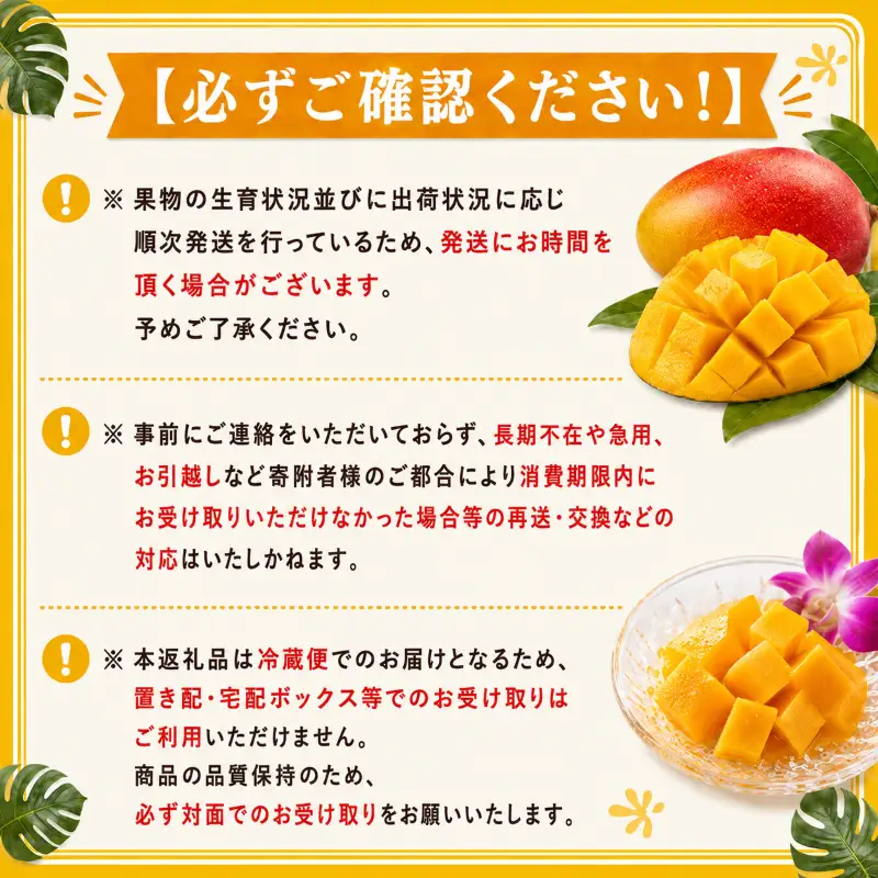 マンゴー【数量限定】【2027年発送】 完熟マンゴー 2～3玉