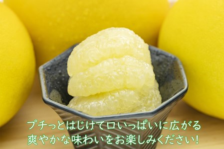 千光士農園 土佐文旦 5kg 家庭用 文旦