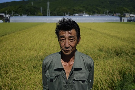 【令和7年産】 米 10kg こしひかり 米 AS013
