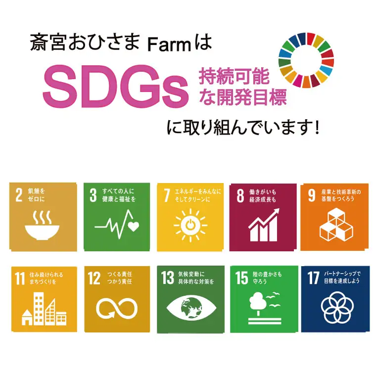 菊芋 加工品 6点セット 粉末 パウダー イヌリン 国産 いも 菊芋茶 菊芋チップス SDGs エコ サスティナブル 農薬不使用 食物繊維 野菜 ドレッシング サポート 三重県産