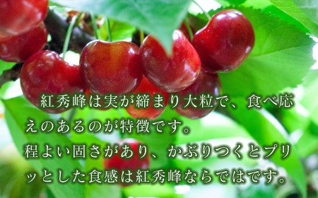 【令和9年産】さくらんぼ 紅秀峰 バラ詰め 2Lサイズ 500g 山形県鶴岡産 鈴木弥吉さくらんぼ園 K-939