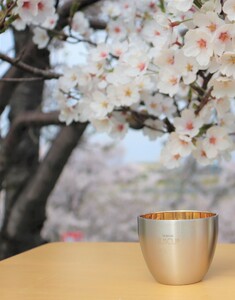 18-8ステンレス 二重構造さくらぐい呑み ペア 内面24金メッキ