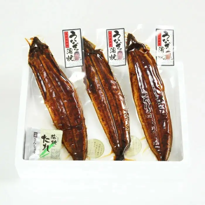 温泉うなぎ 蒲焼 3尾（180gサイズ）【大分水産】 国産 完全無投薬 うなぎ 九州 大分県 うな丼 うな重 冷凍 鰻 ギフト 受賞 特大 土用の丑の日 スタミナ 夏バテ ＜104-016＞