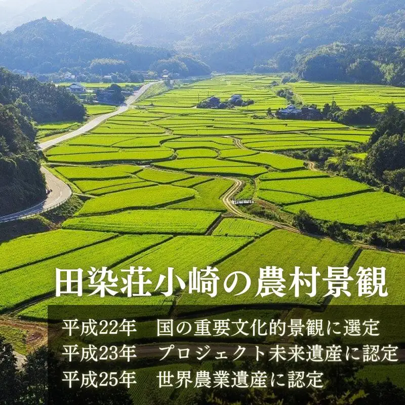 ヒノヒカリ 荘園米 5kg （精米済）ひのひかり