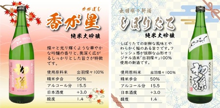 SG0214　【四季の酒田の酒まつり頒布会】　初孫純米大吟醸720ml×2本(全4回) 