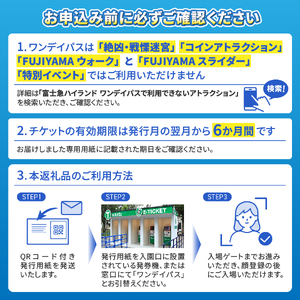 富士急ハイランド1dayフリーパス大人 ４名様分 富士急ハイランドワンデイパス ファミリーチケット4名（大人2名・小人2